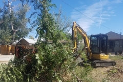 land-clearing-1