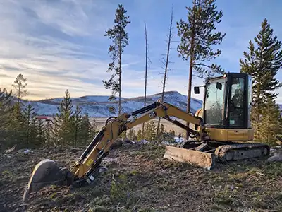 Forestry Mulching & Land Clearing Services, Parker, CO